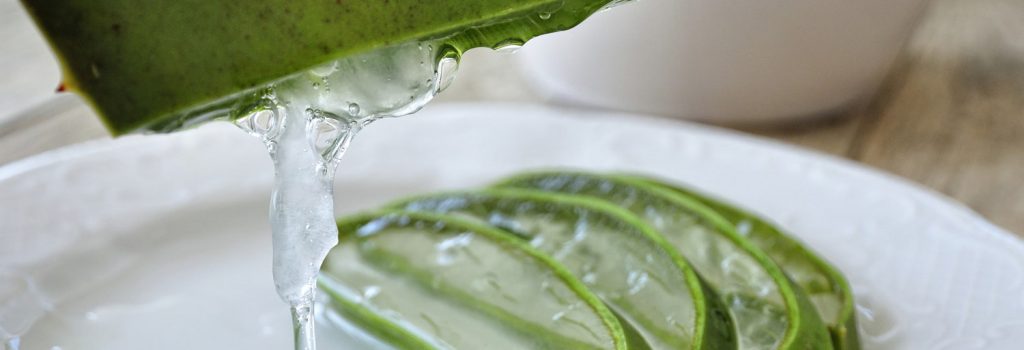 Foto Aloe pagina de contacto